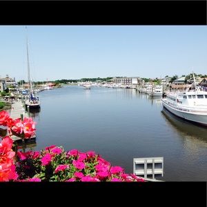 Meet your 🌟POSH AMBASSADORS🌟, Lil and Lilly